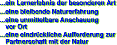 ...ein Lernerlebnis der besonderen Art
...eine bleibende Naturerfahrung
...eine unmittelbare Anschauung vor Ort
...eine eindrckliche Aufforderung zur Partnerschaft mit der Natur